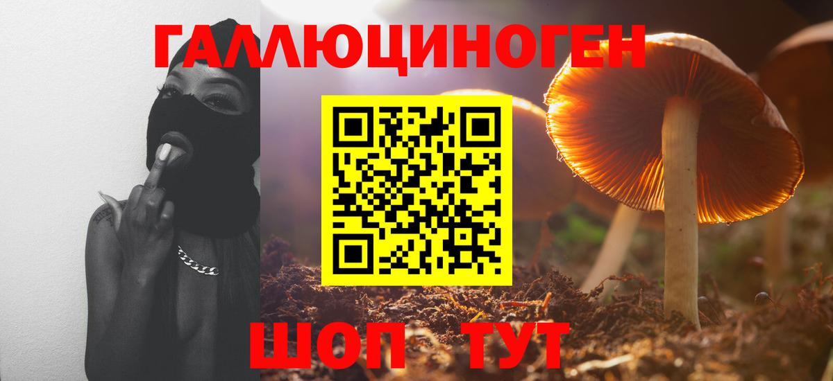 Псилоцибиновые грибы ЛСД Сосновый Бор